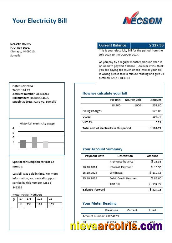 Somalia NESCOM Company electricity business utility bill